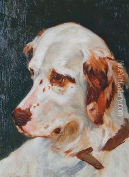 Study Of A Dog's Head Oil Painting - William Grant Stevenson
