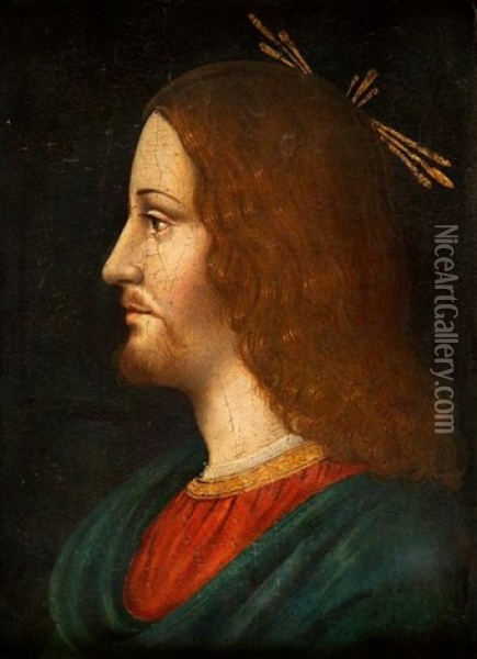 Le Christ Vu De Profil Oil Painting - Bernardino dei Conti