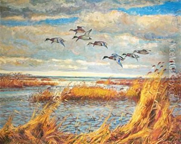 Scenery With Flying Ducks Oil Painting - William Gislander