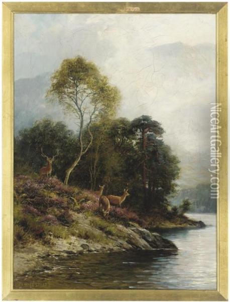 Red Deer Beside A River Oil Painting - Charles Stuart
