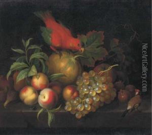 A Melon, Peaches, Grapes, 
Medlars And Other Fruit With A Parrot Anda Goldfinch On A Ledge Oil Painting - Tobias Stranover