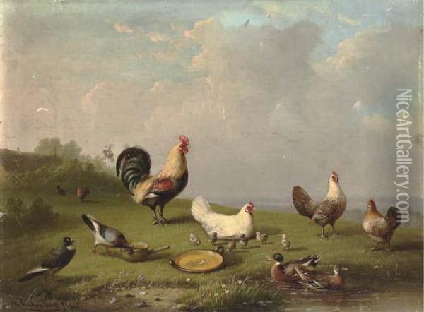 Poultry In The Farmyard Oil Painting - Franz van Severdonck