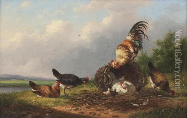 Hahn Mit Hennen Oil Painting - Franz van Severdonck