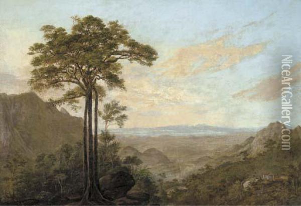 The Bay Of Rio Seen From The Road To Petropolis Oil Painting - Nicolau Antonio Facchinetti