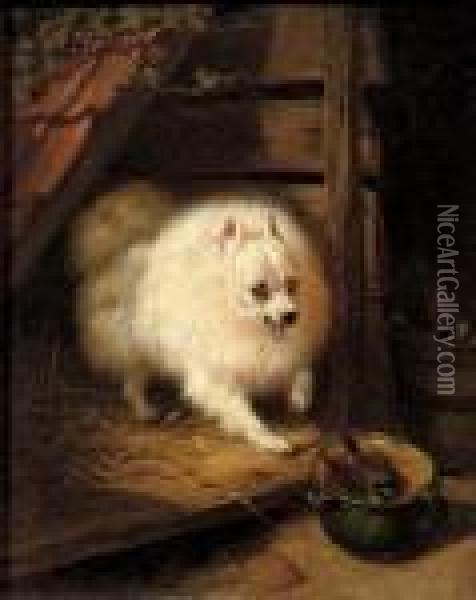 An Unwelcome Intruder Oil Painting - Henriette Ronner-Knip