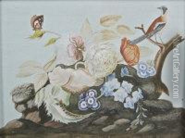 Roses, Anenomes, Wild Bird And Insect Oil Painting - Samuel Dixon