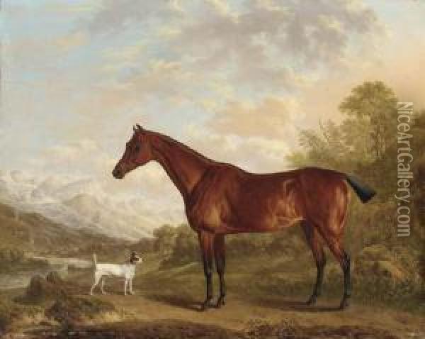 A Bay Hunter And Terrier In A Mountainous Wooded Landscape, A Townand River Beyond Oil Painting - Charles Towne