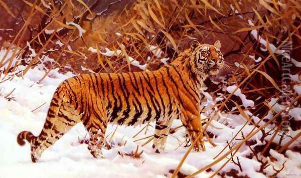Siberischer Tiger In Einer Schneelandschaft (Siberian Tiger In A Winter Landscape) Oil Painting - Hugo Ungewitter