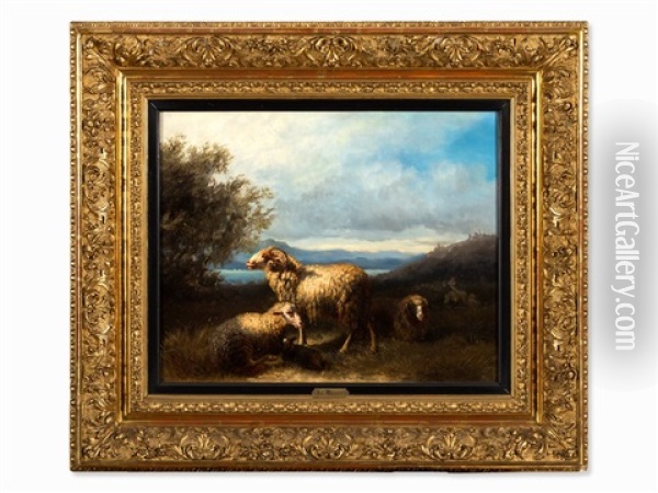 Flock Of Sheep On A Lakeshore Oil Painting - Julius Maurer