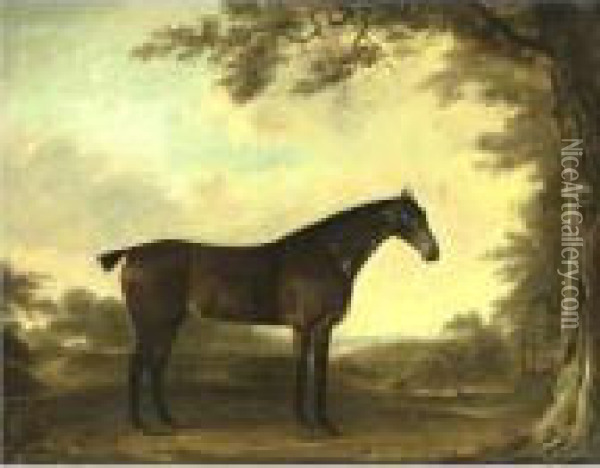 Portrait Of A Horse Age 19 Years Oil Painting - Thomas Weaver