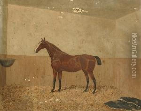 Portrait Of A Bay Horse In A Stable Oil Painting - James Senior Clark