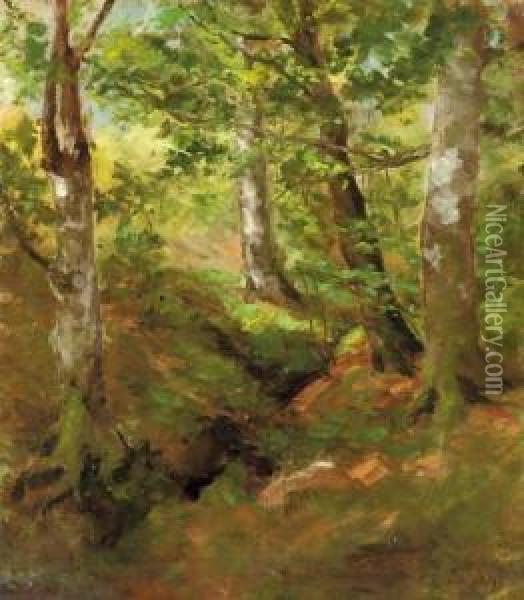 A Forest At Midday Oil Painting - Antonovna Lagoda-Shishkina Ol'Ga