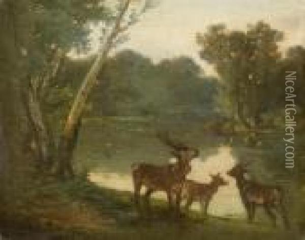 River Landscape With Roe Deer Oil Painting - Gustave Courbet