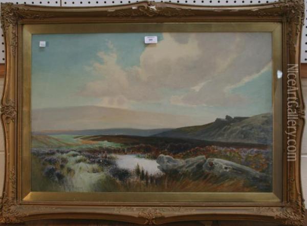 West Country View With Rocks Near A Pool Of Water Oil Painting - Frederick John Widgery