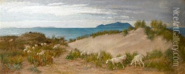 Sheep Grazing In The Dunes, On An Italian Coast Oil Painting - Edith Corbet