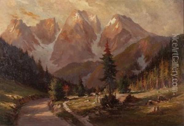 Abgeholzterfichtenwald Im Hochgebirge Oil Painting - Emil Fiala