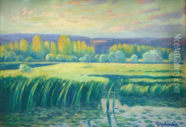 Rakosi Na Labi Oil Painting - Vaclav Radimsky