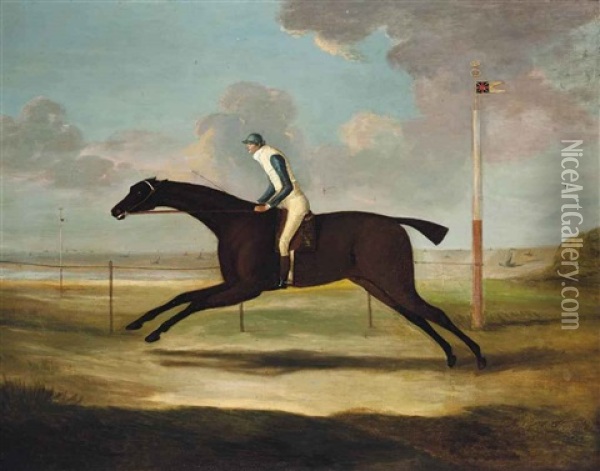 Scorpion, With Jockey Up, On Musselburgh Racecourse Oil Painting - Francis Sartorius the Younger