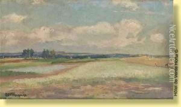 Campagne Ensoleillee Oil Painting - Henri Ottevaere