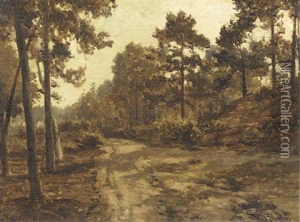 A Sandy Track In Summer (study) Oil Painting - Willem Roelofs