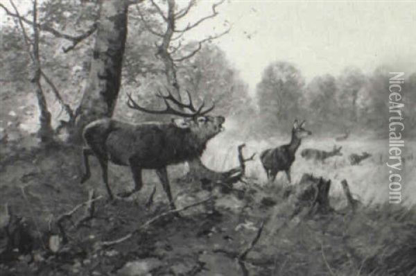 Elk And Deer In A Forest Landscape Oil Painting - Christoffer Johann Drathmann