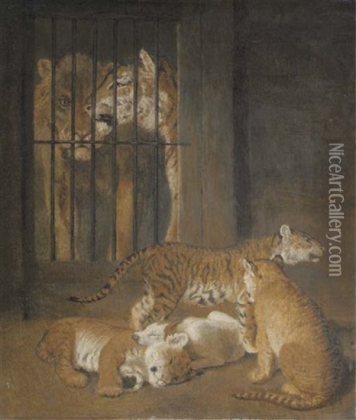 A Group Of Whelps Bred Between A Lion And A Tigress At Windsor Oil Painting - Jacques-Laurent Agasse