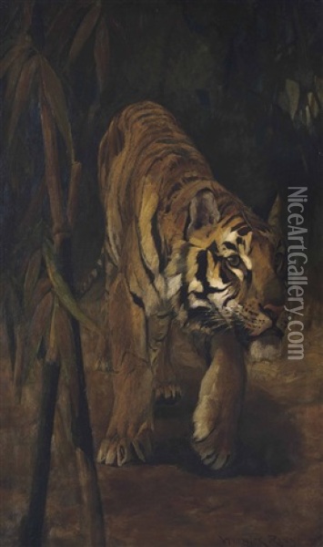 Prowling Tiger Oil Painting - Warwick Reynolds
