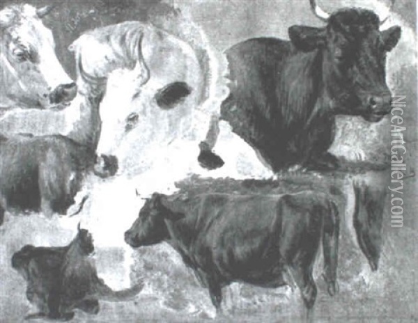 Studies Of Cattle Oil Painting - Rosa Bonheur