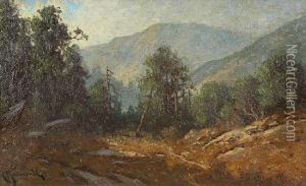 Mendocino County Mountain Landscape Oil Painting - Carl Henrik Jonnevold