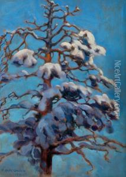 Snowy Pine-tree Oil Painting - Akseli Gallen-Kallela