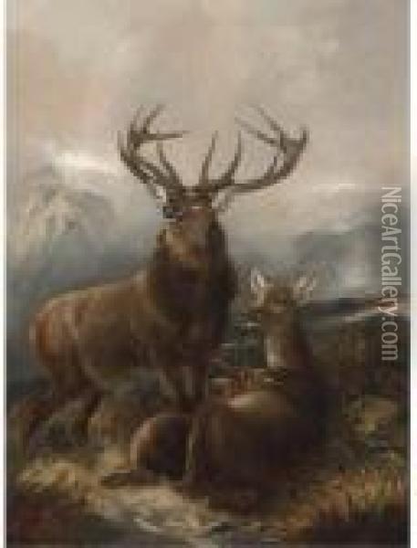 A Stag With Hinds Oil Painting - Robert Cleminson