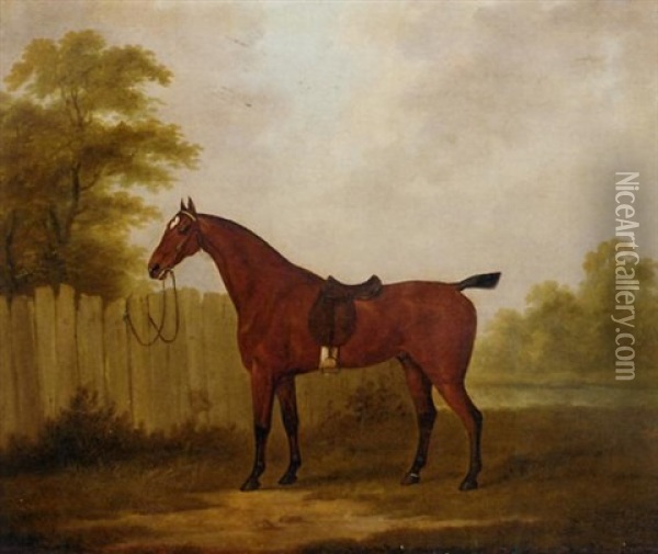 A Saddled Bay Hunter In A Landscape Oil Painting - John Nost Sartorius