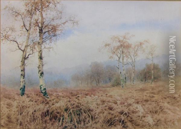 Heathland View Oil Painting - Paul Bertram