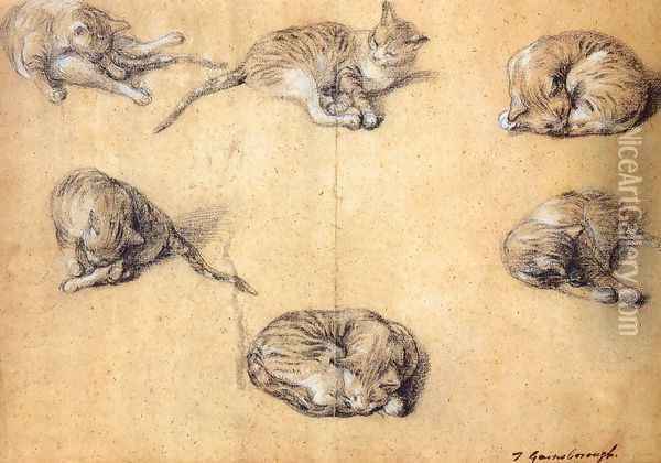 Six studies of a cat 1765-70 Oil Painting - Thomas Gainsborough