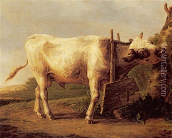 Bull In A Restraint Oil Painting - Jan Kobell the Younger