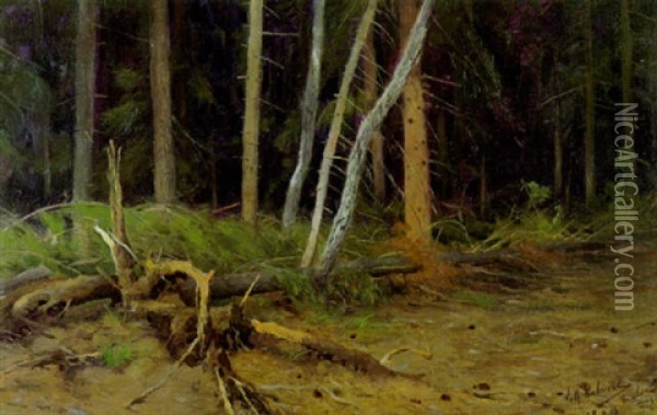 Umgesturzter Baumstamm Im Urwald Von Bialowies/russland Oil Painting - Wilhelm Friedrich Kuhnert
