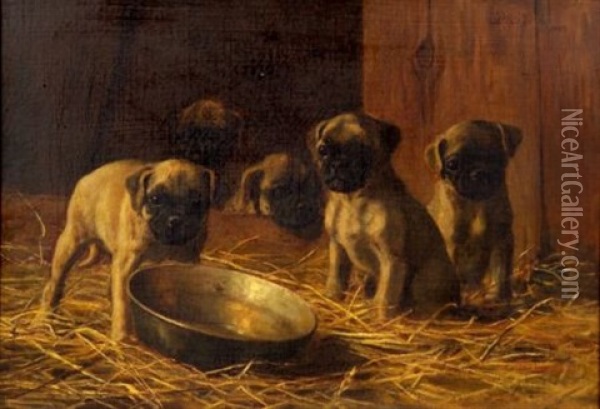 Five Pug Puppies Oil Painting - Franklin Whiting Rogers