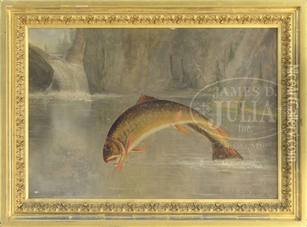 Leaping Brook Trout Oil Painting - Samuel W. Griggs