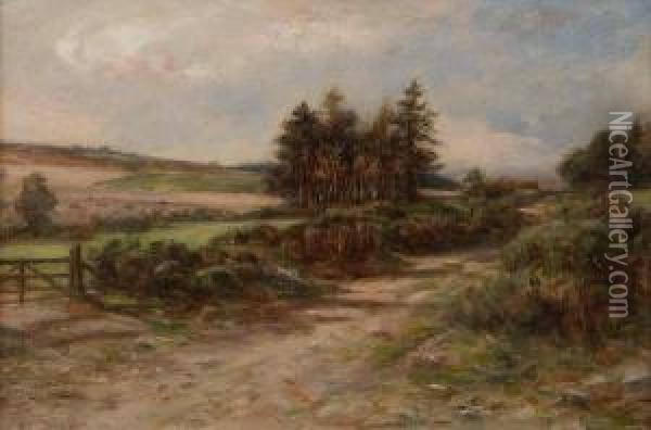 An Angus Pathway Oil Painting - Allan Ii Ramsay