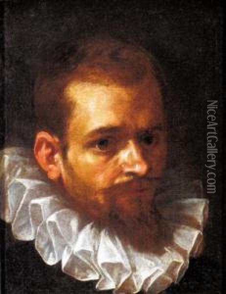 Ritratto Di Un Nobile Oil Painting - Jeremias van Winghen or Wingen
