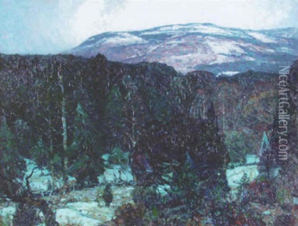 Sombre Uplands Oil Painting - John Fabian Carlson