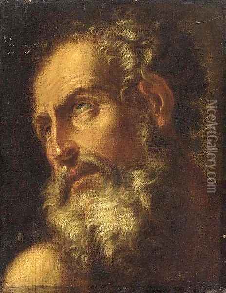 An old man, head and shoulders Oil Painting - Antonio Zanchi