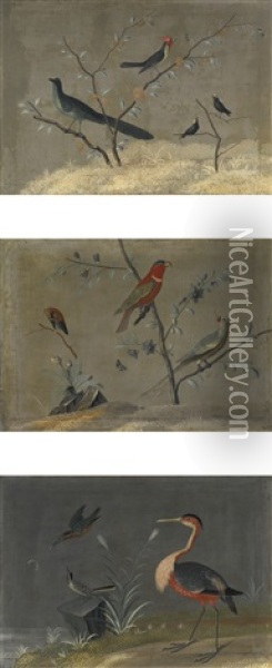Exotic Birds In Landscapes: A Set Of Three Paintings Oil Painting - Carlo Antonio Raineri