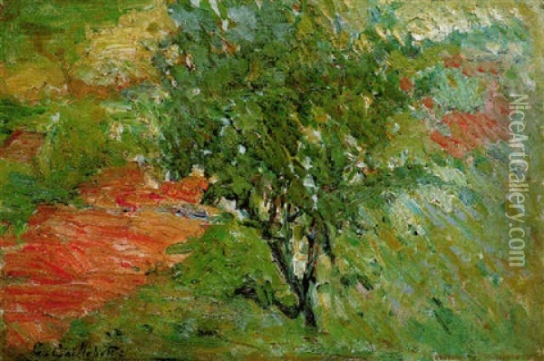 Arbre Au Bord D'un Sentier Oil Painting - Gustave Caillebotte