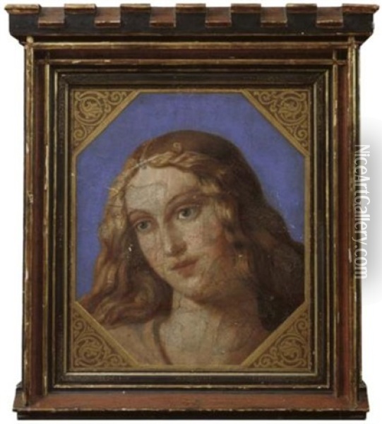 Der Kopf Einer Jungen Frau Oil Painting - Bernardino Luini