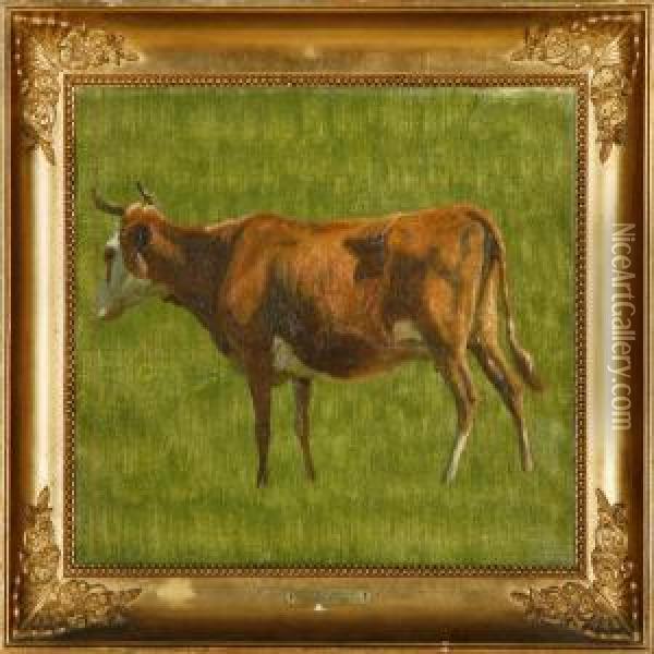 A Jersey Cow Standingon A Field Oil Painting - Niels Skovgaard