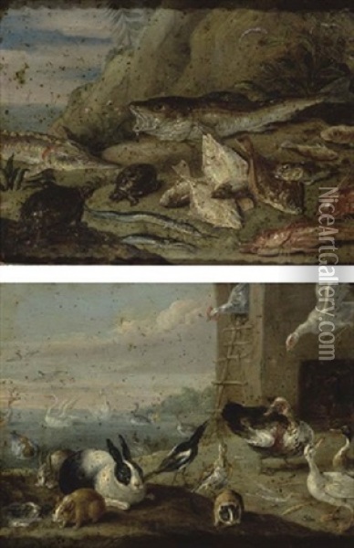 Scene Avec Des Animaux Et Des Poissons (+ Similar; Pair) Oil Painting - Jan van Kessel the Elder