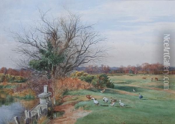 A Surrey Common In April Oil Painting - Charles Low