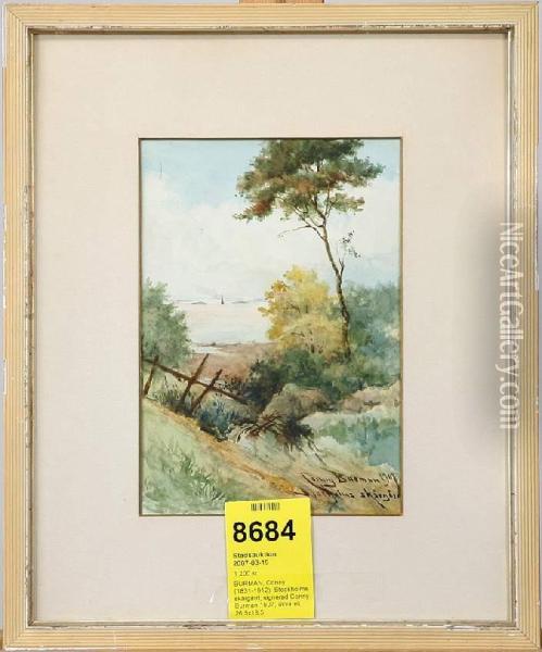 Stockholms Skargard, Signerad Conny Burman 1907 Oil Painting - Conny Burman