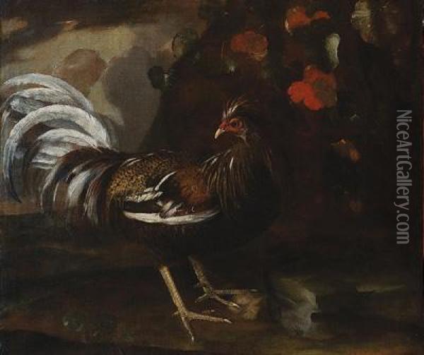 Gallo Oil Painting - Melchior de Hondecoeter
